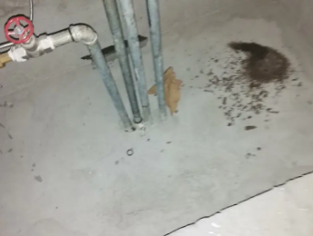 上饶市卫生间测漏水价格明细